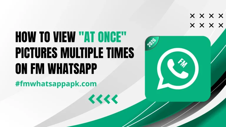 View At Once Pictures Multiple Times on FM WhatsApp