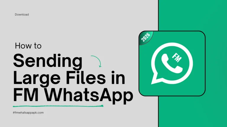 Sending Large Files in FM WhatsApp